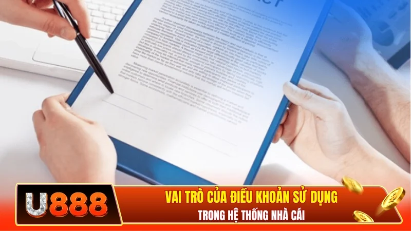 Vai trò của điều khoản sử dụng trong hệ thống nhà cái